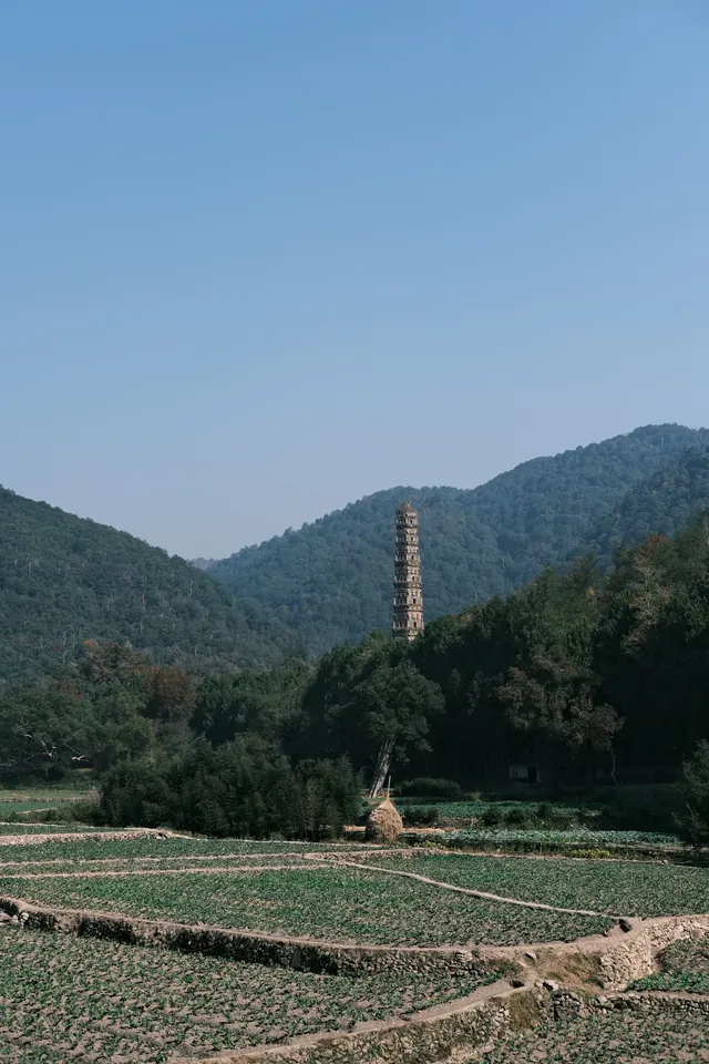 只因國清寺,去了一趟台州!(不自駕交通) 只因國清寺,去了一趟台州!(不自駕交通)