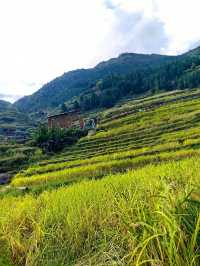 如詩如畫的肇興侗寨