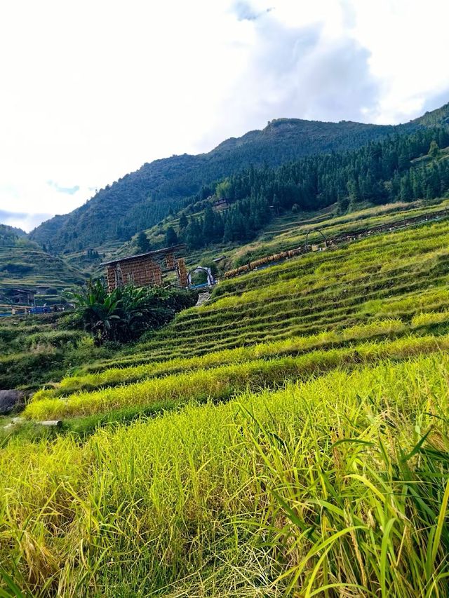 如詩如畫的肇興侗寨 如詩如畫的肇興侗寨