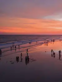 唔好亂衝！涠洲島觀鯨最佳時間攻略奉上