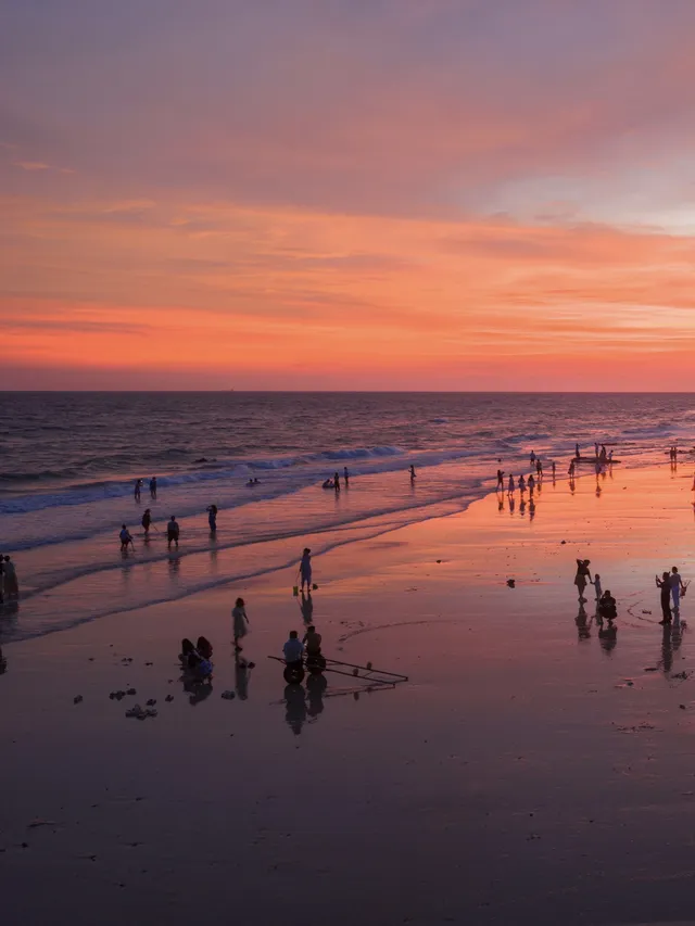 唔好亂衝！涠洲島觀鯨最佳時間攻略奉上
