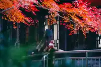 棲霞山 | 拍點不一樣的