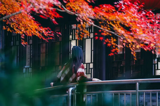 棲霞山 | 拍點不一樣的 棲霞山 | 拍點不一樣的