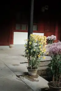 被香火與古木浸透