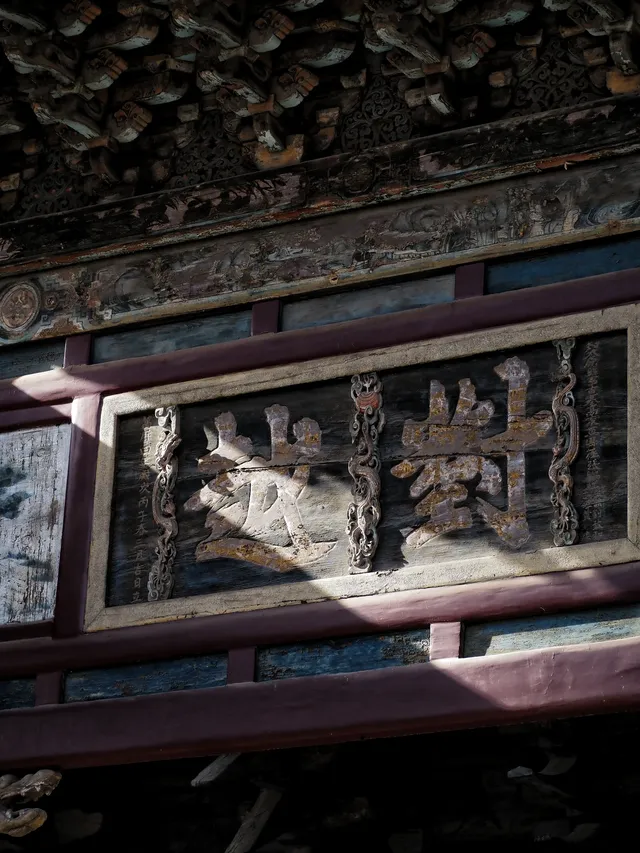 在太原晉祠，觸摸到了三千年的西周柏樹