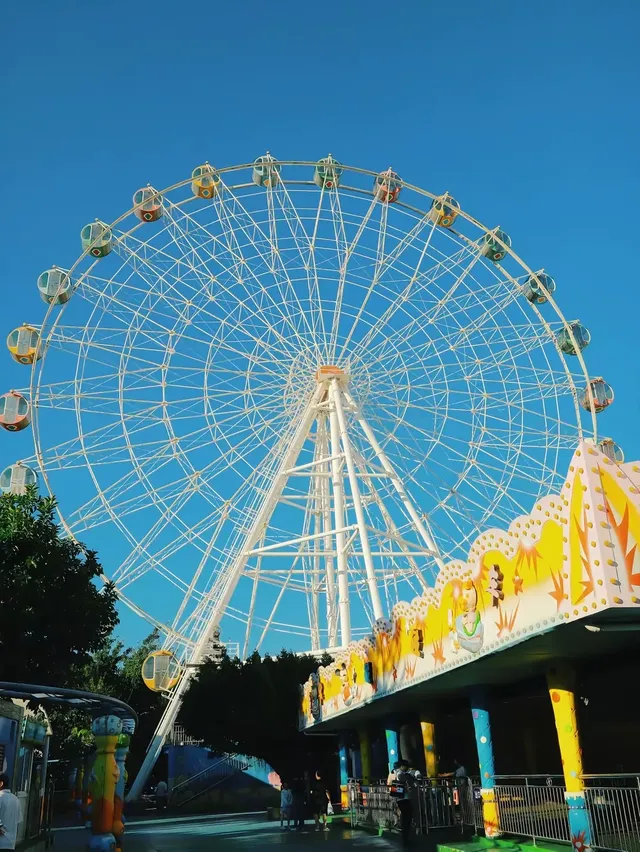 防止你失業後在泉州不知道做什麼（合集）