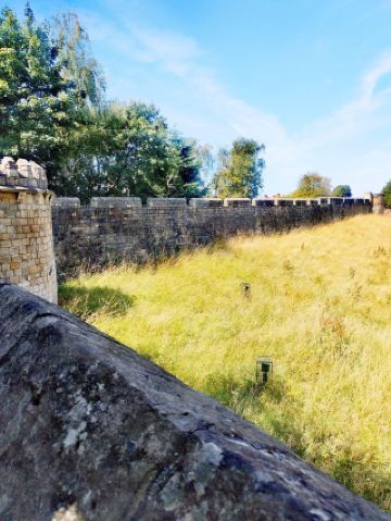 イギリス5日間ツアー攻略、初心者必見の完全ガイド