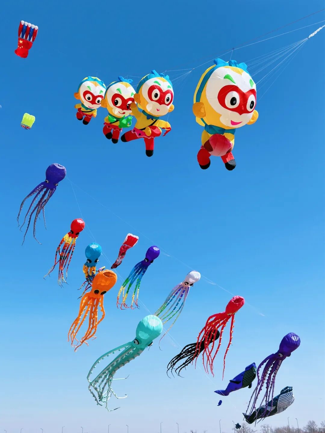 Hohhot's Spring Cultural and Tourism Activities Kick Off, Kite and Flower Sea Feast Awaits You