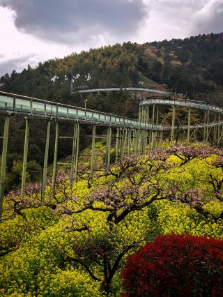 ทัวร์ครึ่งวันที่เฉิงซานโกว