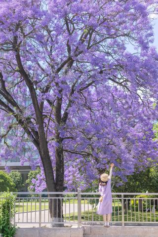 Springtime in the Spring City, enjoying the blossoms of spring