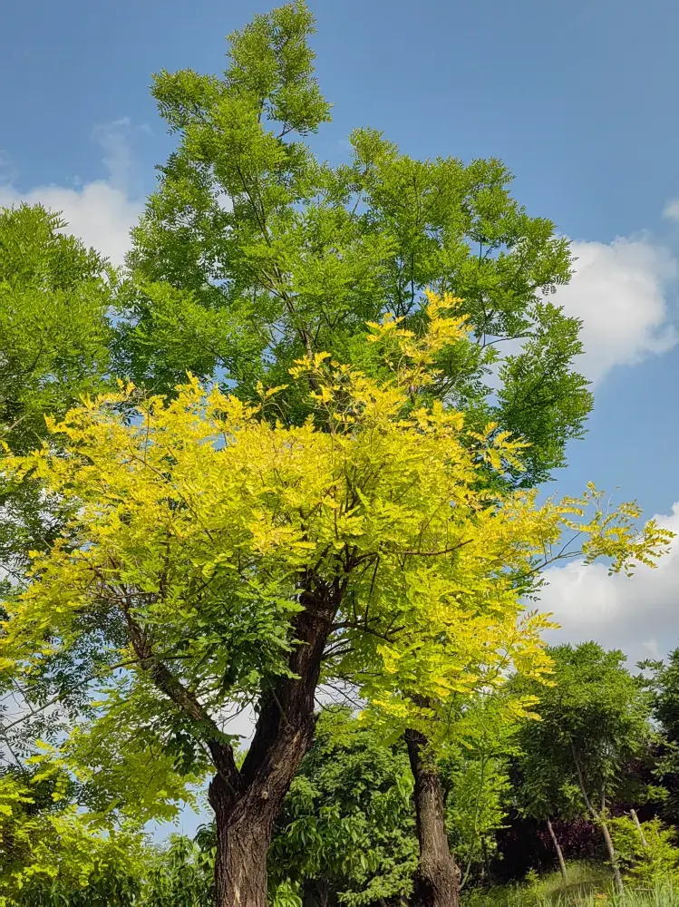 太喜歡龍泉湖濕地公園啦！