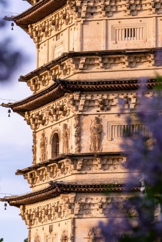 Ancient Architecture Carved Flower Must-Visit Guide