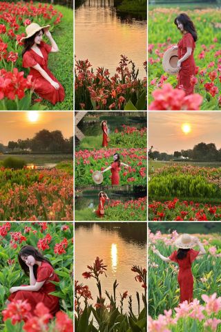 長沙必見スポット！松雅湖畔の花海と夕日の美しさに息をのむ