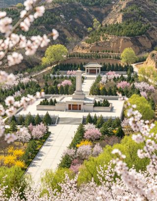 Spring Picnic Paradise Guide