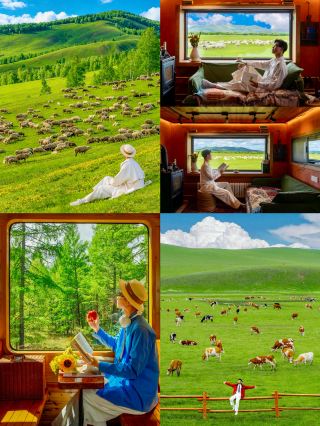 Hulunbuir graduation trip | Fall in love with China’s most beautiful grassland