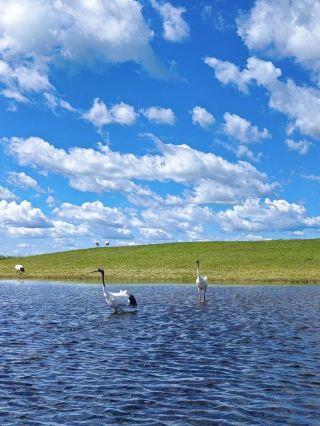Summer is perfect for visiting places like Yichun—you’ll regret it if you don’t go