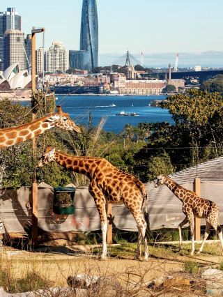 Australia 2-day tour with great value at just over 1k per person