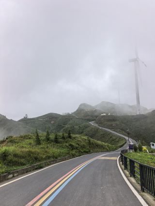 貴州金沙玉簪花雲海｜22℃の雲上の花海