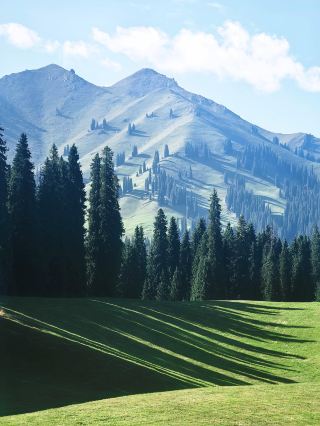 Starting from Yining, driving southeast along the Yidun Expressway and national highway for about two and a half hours, the scenery outside the window fully unfolds after entering Gongliu County. The highway winds through...
