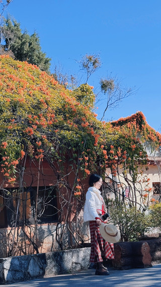 Yunnan Ethnic Village Visit: A Comfortable and Relaxing Yunnan-Style Trip