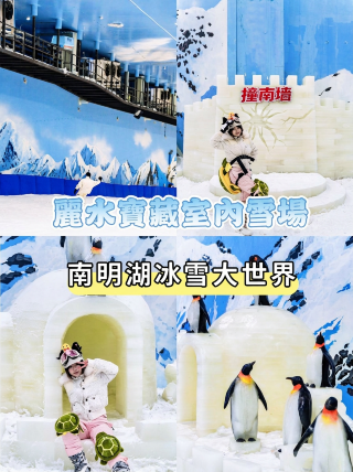 國慶不用遠行，麗水室內真雪場！江浙滬遛娃推薦