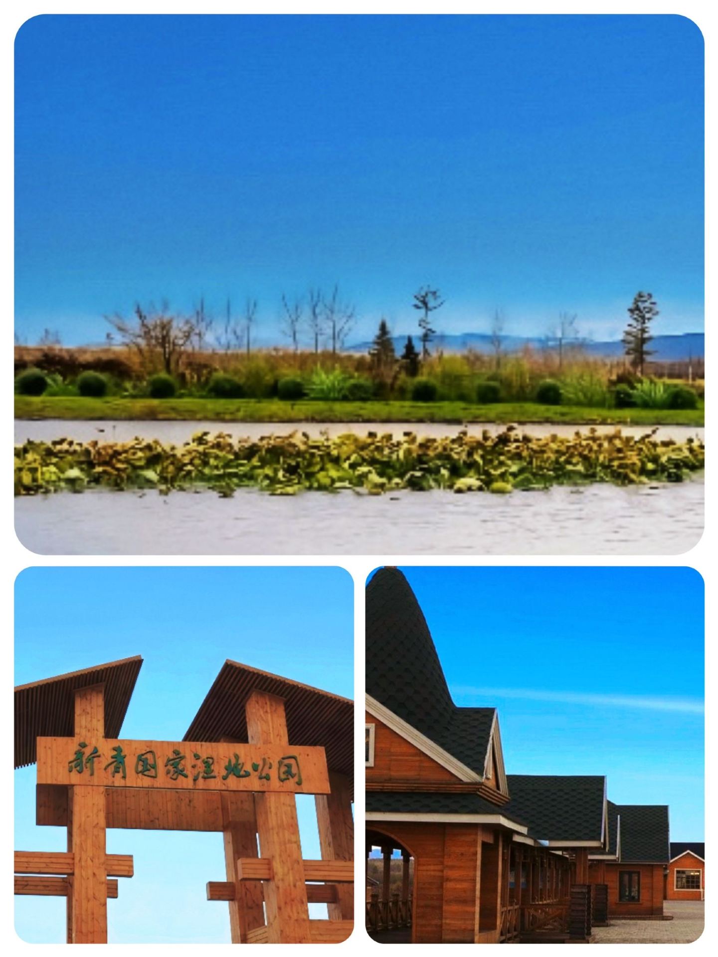 Xinqing National Wetland Park: A Quiet Side of Yichun I Didn’t Expect