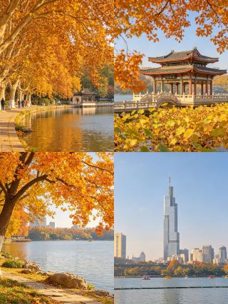 Spent three days in Nanjing this autumn, and it was a flawless trip.