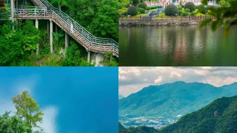 I've decided to skip other plans for the Sanbai Mountain Scenic Area in Jiangxi—it's just too good! — traveler post in Dingnan