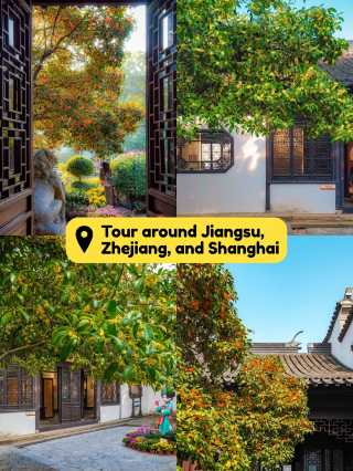 Ladies! Who gets it!! The romance of autumn in Shanghai is truly hidden behind this osmanthus-scented gate