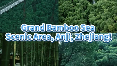 Anji 2-Day 1-Night Trip | Great Bamboo Sea + Yunqian Homestay Family Guide — traveler post in Anji