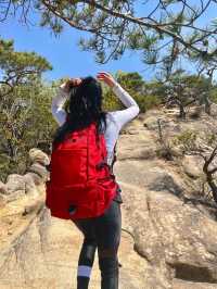 주말에 가볍게 오르기 좋은 월악산 제비봉 ⛰️