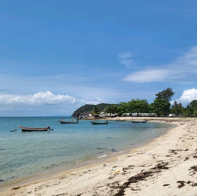 เกาะพะงัน