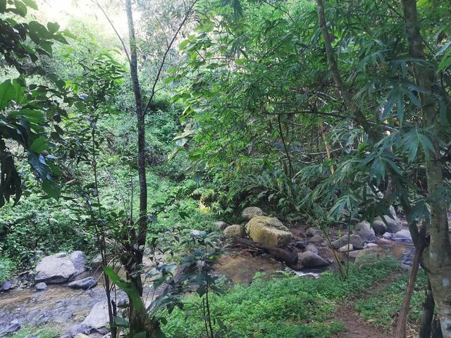🏡 อยู่เถื่อน ณ สวนเกาะ 