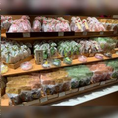 Gion Koishi User Photo