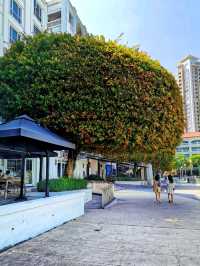 Straits Quay, the gorgeous seafront marina