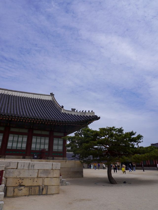 Meet me at Gyeongbokgung Palace 💫