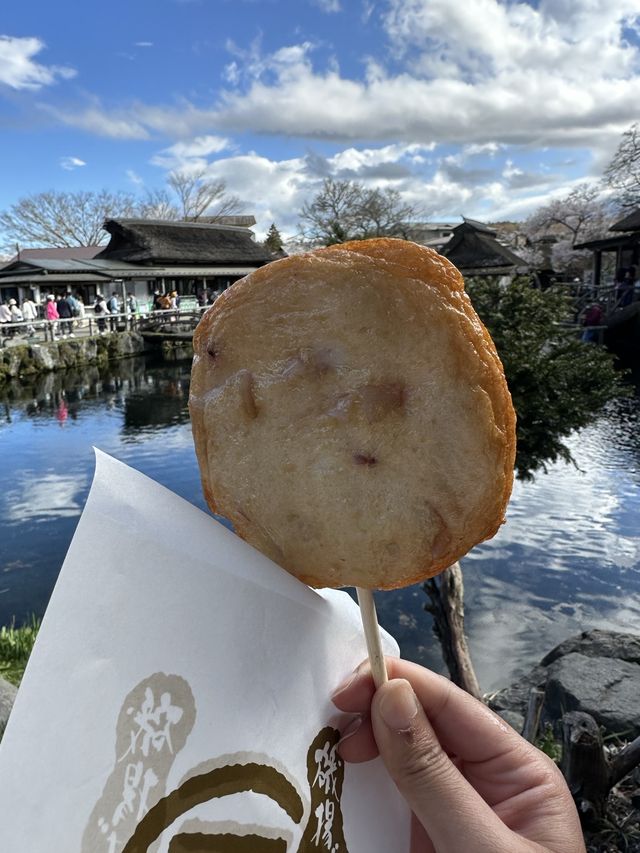 Little cute village with Mt Fuji view 