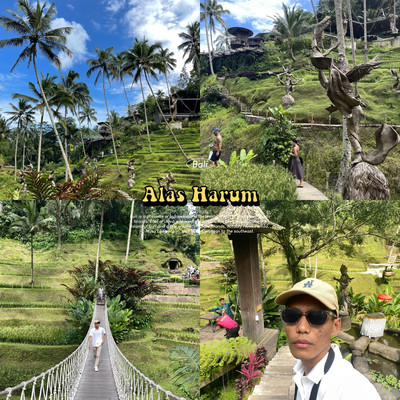 Alas Harum Ubud | Trip.com Bali