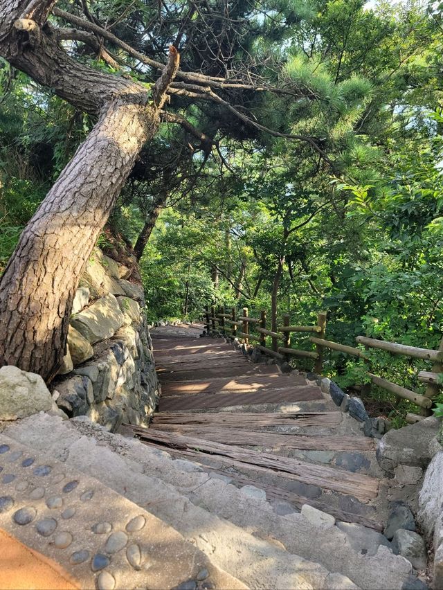 절영해안뷰 즐기기좋은 부산영도 75광장✨️