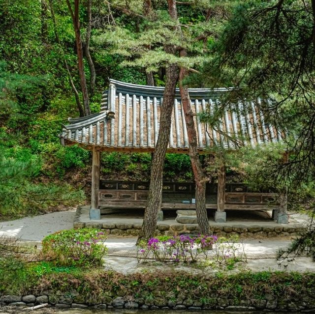 영주 문화유산 소수서원