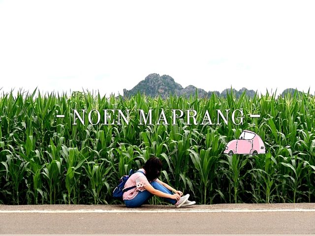 เสน่ห์แห่งขุนเขา @•NoenMapranG•