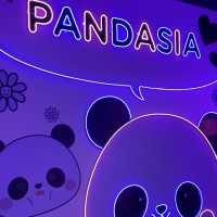 앞으로 에버랜드 푸바오 가족 5분만 볼 수 있다🐼