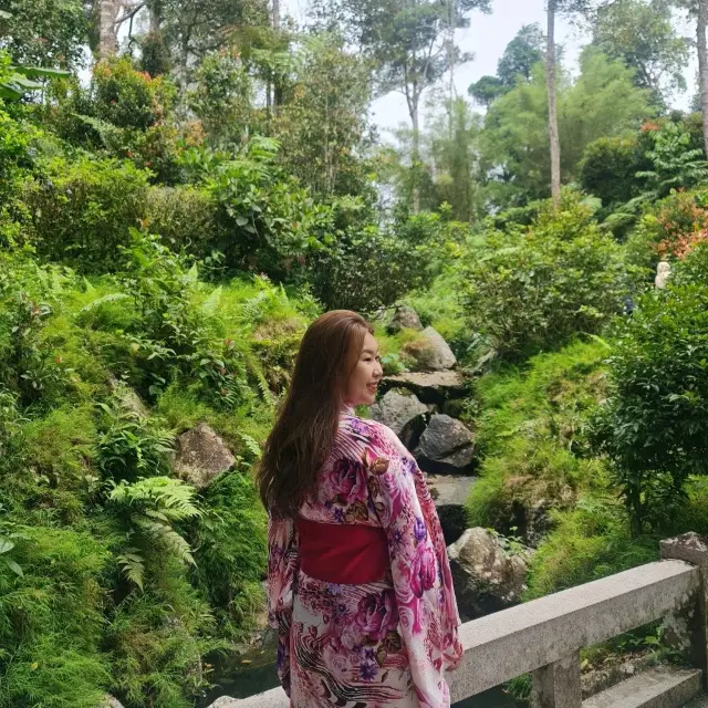 Kimono Adventure