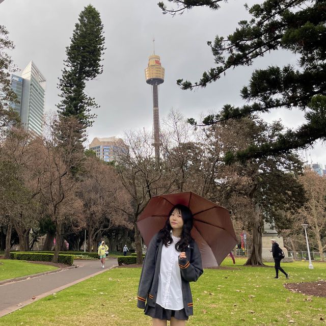 비오는날에도 무드 있는 시드니 하이드파크⛲️