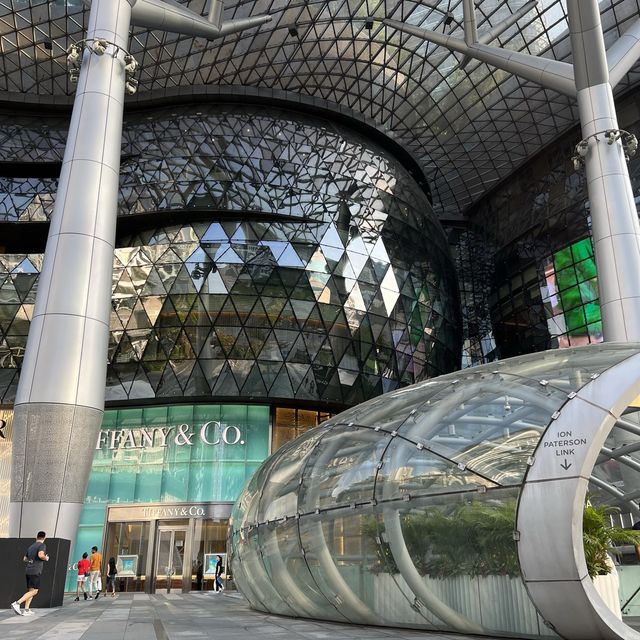 Ion Orchard- Luxurious Mall in Orchard 