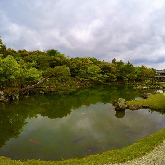 1 วัน แพลนเที่ยว Kyoto ย่านArashiyama และ Uji