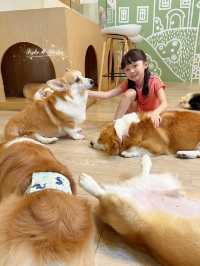 在曼谷親親哥基🐶和小浣熊🦝