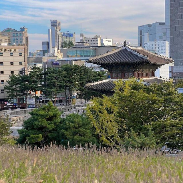 Autumn Splendor at Heunginjimun Park