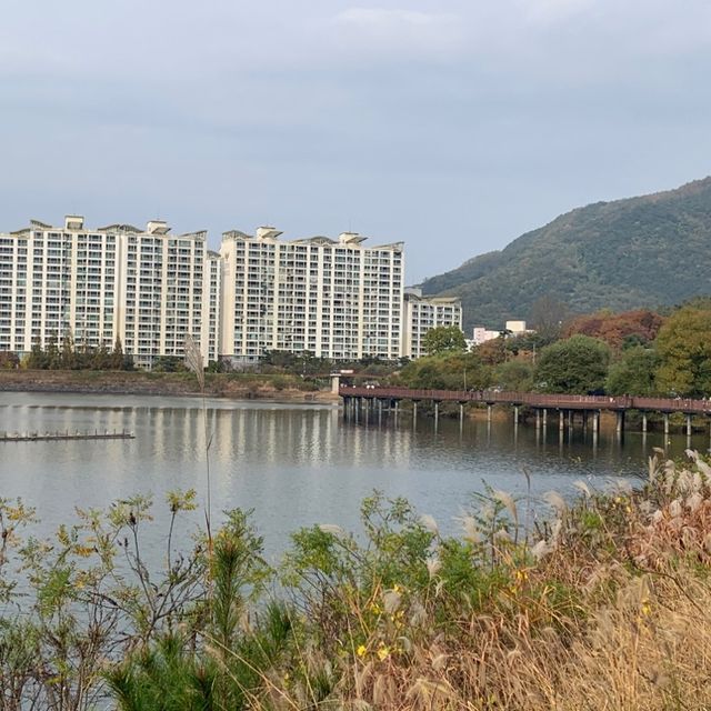 자연과 함께 어우러져 휴식을 즐기기에 좋은, 대구 월광수변공원 