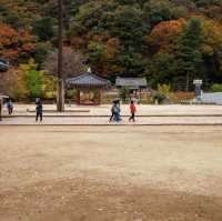 Beautiful Autumn View of Beopjusa temple 